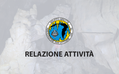 Relazione attività 2019