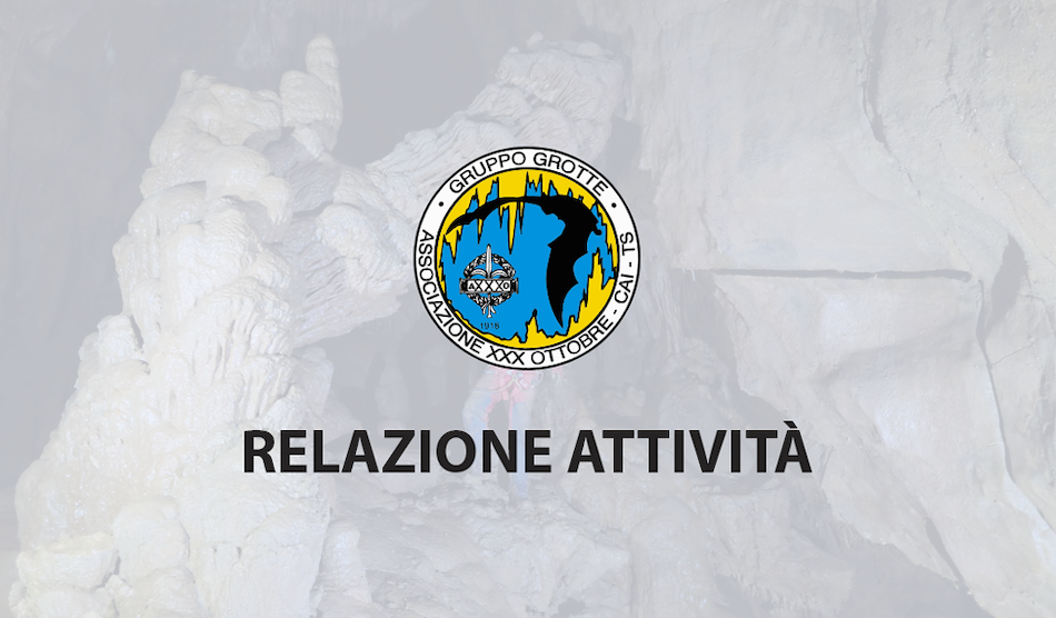 Relazione attività 2019